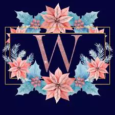 w images download